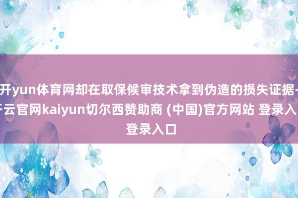 开yun体育网却在取保候审技术拿到伪造的损失证据-开云官网kaiyun切尔西赞助商 (中国)官方网站 登录入口